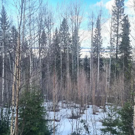 Vakantiehuis Toivola 2 By Interhome *