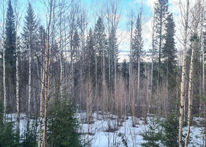 Toivola 2 By Interhome Semesterbostad